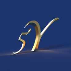  5Ypsilon Service GmbH